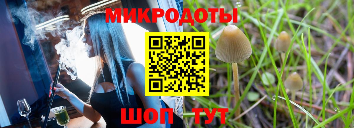Галлюциногенные грибы Psilocybe Орск