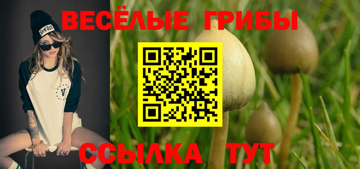 Альфа ПВП Орск